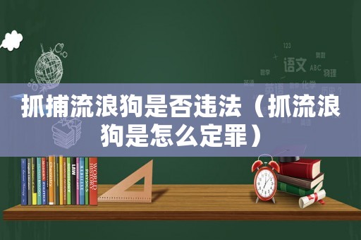 抓捕流浪狗是否違法（抓流浪狗是怎么定罪）