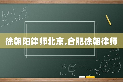 徐朝陽律師北京,合肥徐朝律師