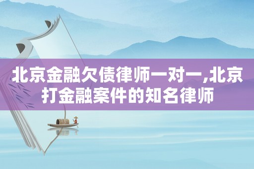 北京金融欠債律師一對(duì)一,北京打金融案件的知名律師
