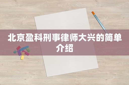 北京盈科刑事律師大興的簡單介紹