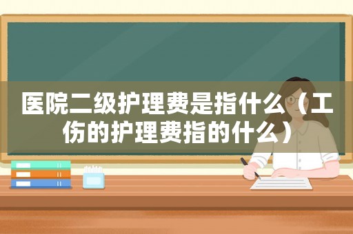 醫(yī)院二級護理費是指什么（工傷的護理費指的什么）