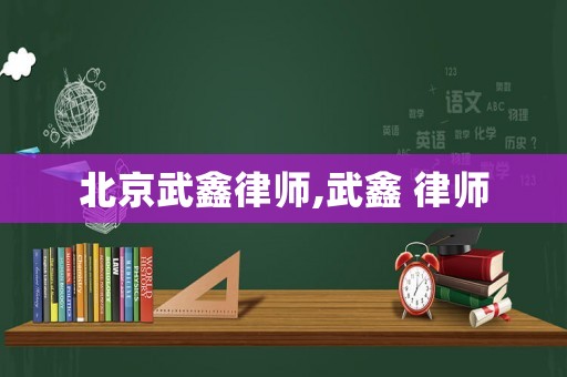 北京武鑫律師,武鑫 律師