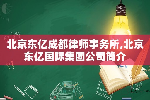 北京東億成都律師事務所,北京東億國際集團公司簡介