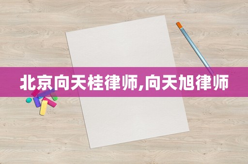 北京向天桂律師,向天旭律師