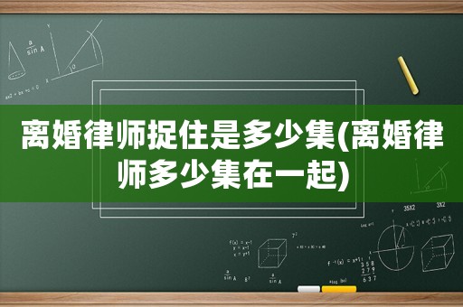 離婚律師捉住是多少集(離婚律師多少集在一起)