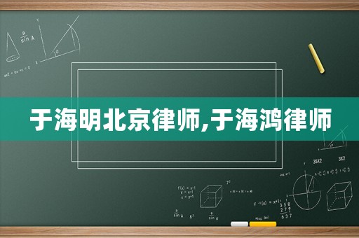 于海明北京律師,于海鴻律師