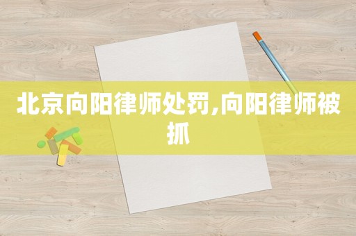 北京向陽律師處罰,向陽律師被抓