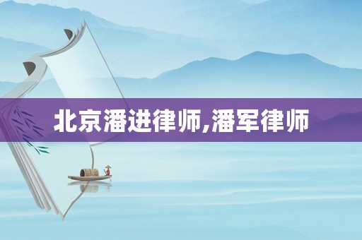 北京潘進律師,潘軍律師