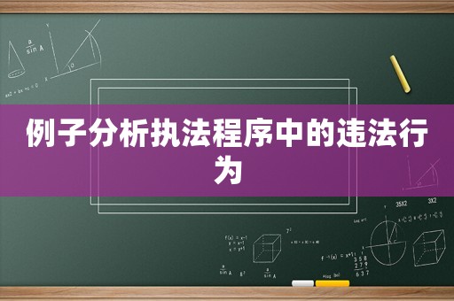 例子分析執(zhí)法程序中的違法行為