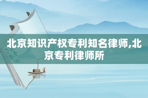 北京知識產權專利知名律師,北京專利律師所