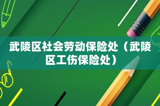 武陵區社會勞動保險處（武陵區工傷保險處）
