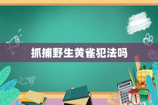 抓捕野生黃雀犯法嗎