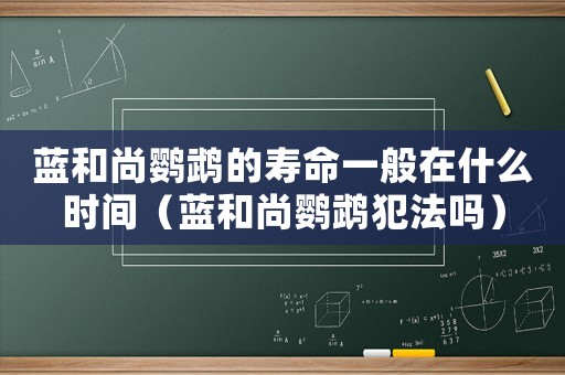 藍和尚鸚鵡的壽命一般在什么時間（藍和尚鸚鵡犯法嗎）