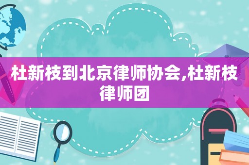 杜新枝到北京律師協(xié)會(huì),杜新枝律師團(tuán)