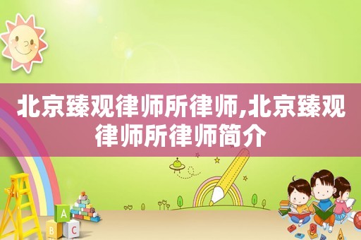 北京臻觀律師所律師,北京臻觀律師所律師簡介