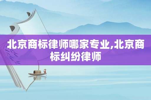 北京商標律師哪家專業,北京商標糾紛律師