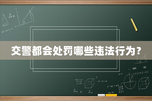 交警都會處罰哪些違法行為？