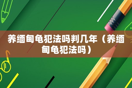 養緬甸龜犯法嗎判幾年（養緬甸龜犯法嗎）