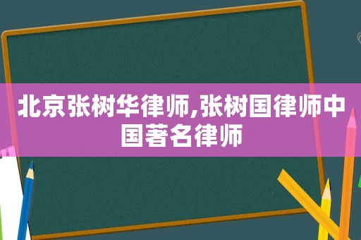 北京張樹華律師,張樹國律師中國著名律師