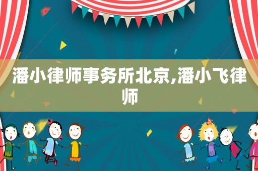 潘小律師事務(wù)所北京,潘小飛律師