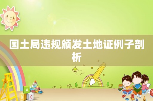 國土局違規頒發土地證例子剖析