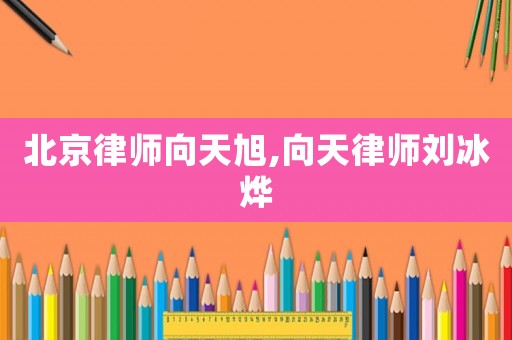 北京律師向天旭,向天律師劉冰燁