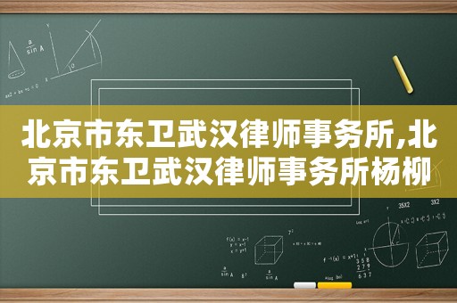 北京市東衛(wèi)武漢律師事務(wù)所,北京市東衛(wèi)武漢律師事務(wù)所楊柳