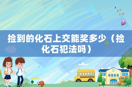 撿到的化石上交能獎多少（撿化石犯法嗎）