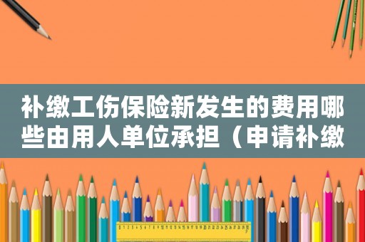 補繳工傷保險新發生的費用哪些由用人單位承擔（申請補繳工傷保險的申請書）