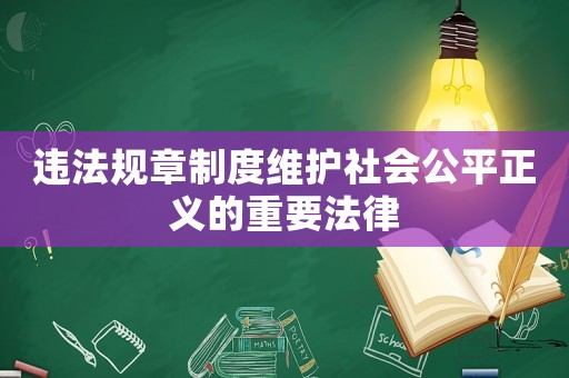違法規章制度維護社會公平正義的重要法律