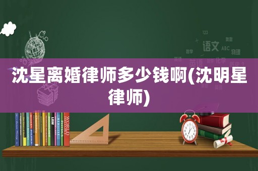 沈星離婚律師多少錢啊(沈明星律師)