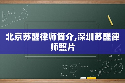 北京蘇醒律師簡介,深圳蘇醒律師照片