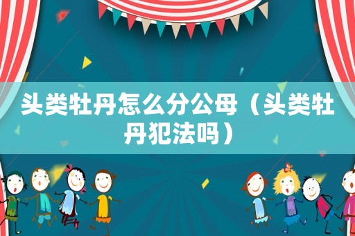 頭類牡丹怎么分公母（頭類牡丹犯法嗎）