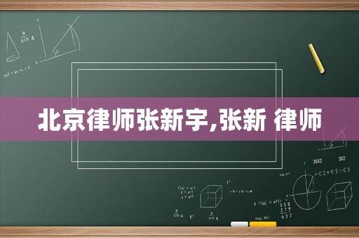 北京律師張新宇,張新 律師
