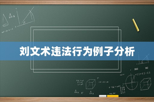 劉文術(shù)違法行為例子分析