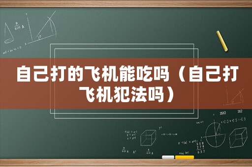 自己打的飛機能吃嗎（自己打飛機犯法嗎）
