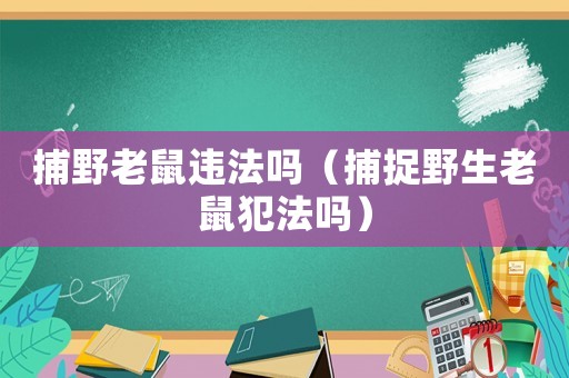 捕野老鼠違法嗎（捕捉野生老鼠犯法嗎）