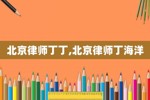 北京律師丁丁,北京律師丁海洋