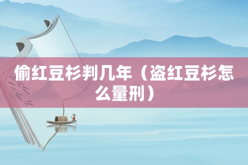 偷紅豆杉判幾年（盜紅豆杉怎么量刑）