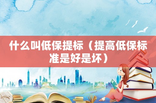 什么叫低保提標（提高低保標準是好是壞）