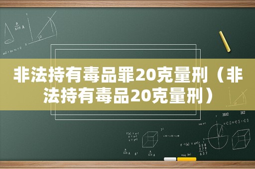 非法持有毒品罪20克量刑（非法持有毒品20克量刑）