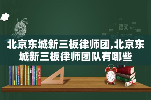 北京東城新三板律師團(tuán),北京東城新三板律師團(tuán)隊(duì)有哪些