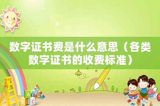 數字證書費是什么意思（各類數字證書的收費標準）