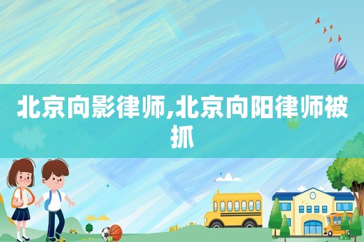 北京向影律師,北京向陽律師被抓