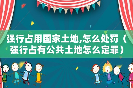 強行占用國家土地,怎么處罰（強行占有公共土地怎么定罪）