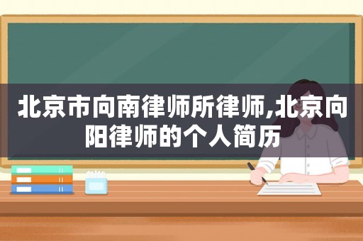 北京市向南律師所律師,北京向陽律師的個人簡歷