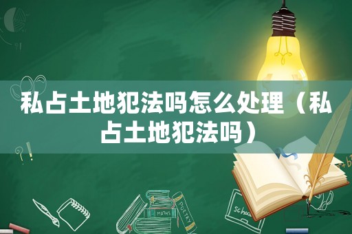 私占土地犯法嗎怎么處理（私占土地犯法嗎）