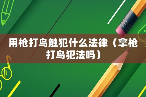 用槍打鳥觸犯什么法律（拿槍打鳥犯法嗎）