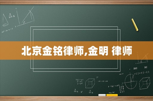 北京金銘律師,金明 律師