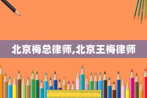 北京梅總律師,北京王梅律師